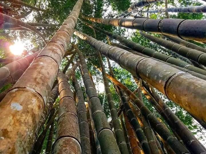 Wisma Kelimutu Ende Bagian luar foto