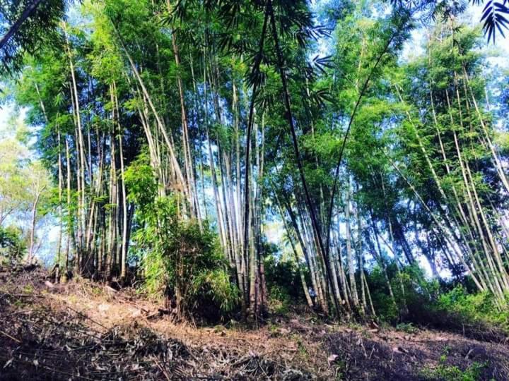 Wisma Kelimutu Ende Bagian luar foto