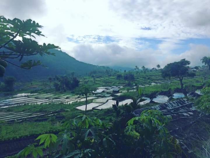 Wisma Kelimutu Ende Bagian luar foto